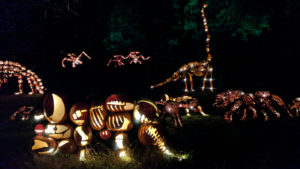The Pumpkin Jurassic Park at the Jack O'Lantern Blaze in Sleepy Hollow